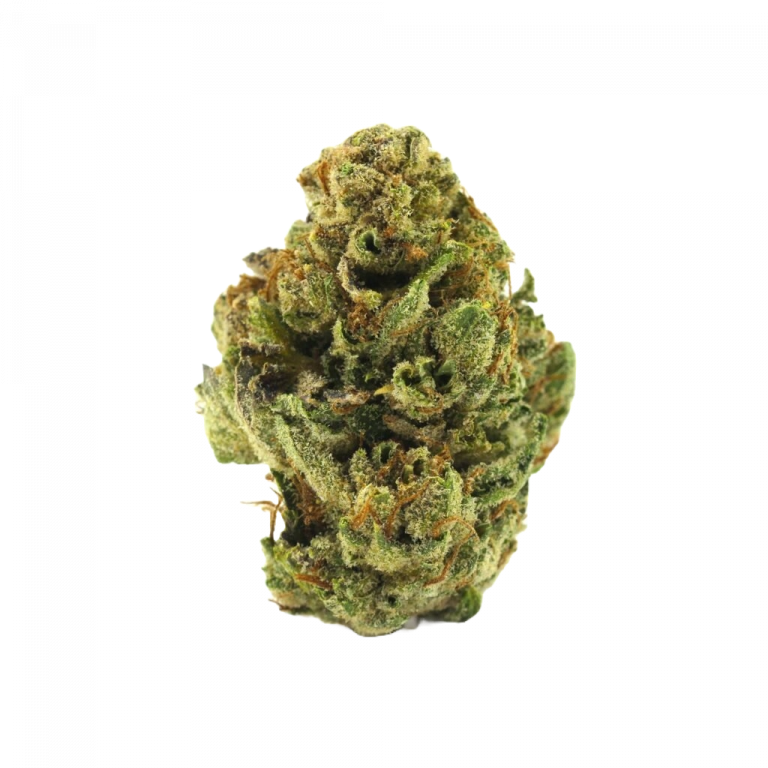 White Widow Flower